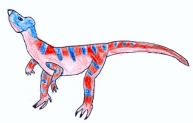microcratops par Clment